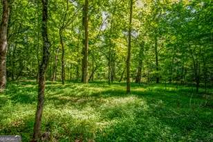 2720 Doster Rd, Madison, GA 30650 - Photo 48