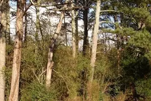 260-B Handley Ct, Tyrone, GA 30290 - Photo 6