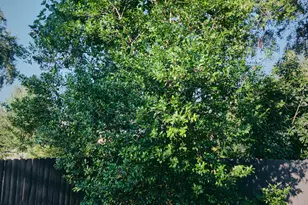 417 Howell St, Thomaston, GA 30286 - Photo 66