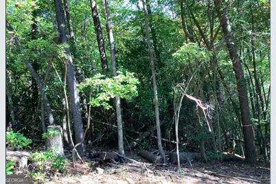 0.68 Valley View Road, Ellijay, GA 30536 - Photo 1