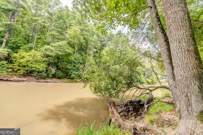 648 Novena Court, Ellijay, GA 30540 - Photo 54