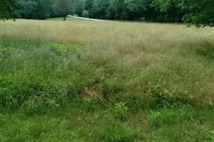 670 Cedar Grove Church Rd, Jefferson, GA 30549 - Photo 48