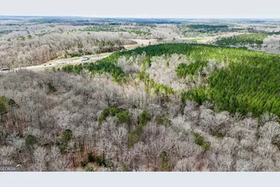 90 +/- Acres English Road, Forsyth, GA 31029 - Photo 24
