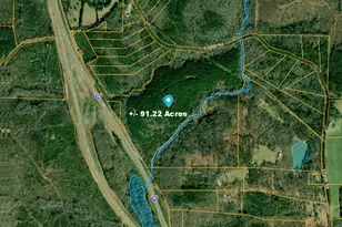 90 +/- Acres English Rd, Forsyth, GA 31029 - Photo 1