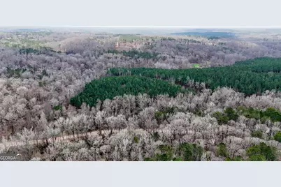 90 +/- Acres English Road, Forsyth, GA 31029 - Photo 16