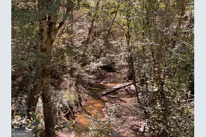 90 +/- Acres English Road, Forsyth, GA 31029 - Photo 14