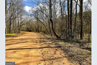 90 +/- Acres English Road, Forsyth, GA 31029 - Photo 34