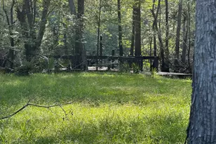 4980 Coleman Bridge Spur, Cobbtown, GA 30420 - Photo 4