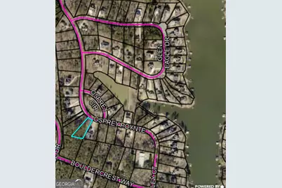 2191 Osprey Poynte, Greensboro, GA 30642 - Photo 10