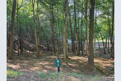 126R Red Oak Trail, East Ellijay, GA 30540 - Photo 1