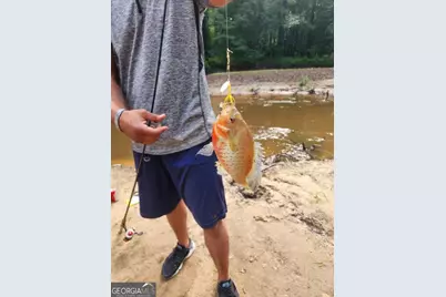 326 Turkey Run, Dublin, GA 31021 - Photo 112