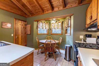 256 Nantahala Pass Road, Blue Ridge, GA 30513 - Photo 18