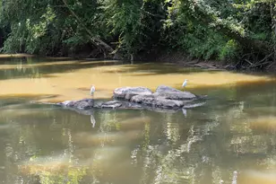 1638 Old Minor Rd, Culloden, GA 31016 - Photo 16