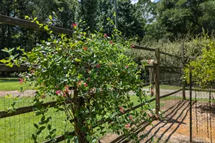 1638 Old Minor Rd, Culloden, GA 31016 - Photo 120