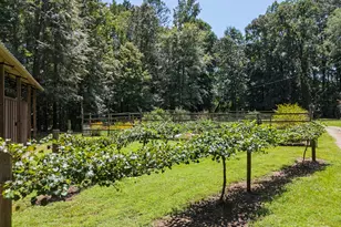 1638 Old Minor Rd, Culloden, GA 31016 - Photo 116