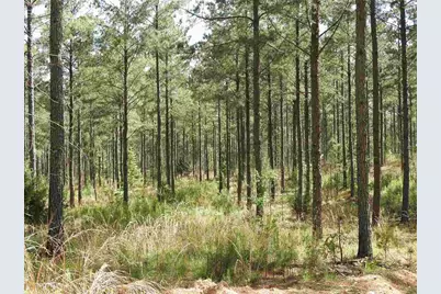 0 Griffin Road #5007-PARCEL 4, Cartersville, GA 30120 - Photo 24