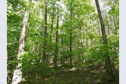 0 Griffin Road #5007-PARCEL 4, Cartersville, GA 30120 - Photo 6