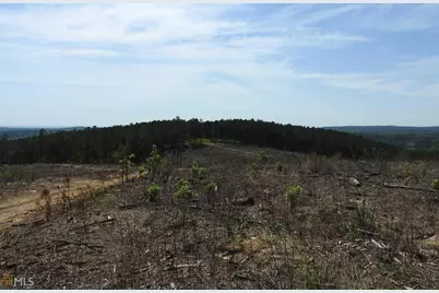 0 Griffin Road #5007-PARCEL 4, Cartersville, GA 30120 - Photo 4
