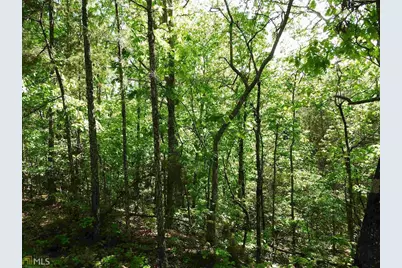0 Griffin Road #5007-PARCEL 4, Cartersville, GA 30120 - Photo 18