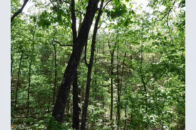 0 Griffin Road #5007-PARCEL 2, Cartersville, GA 30120 - Photo 20