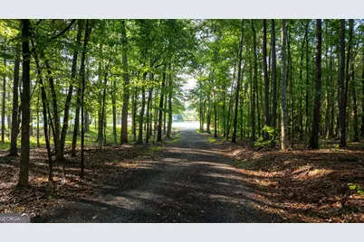 833 Hines Road, Moreland, GA 30259 - Photo 2