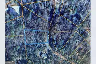 167 Tara Drive, Ellijay, GA 30540 - Photo 10