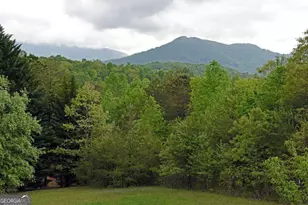 557 Hidden Pines Ct, Hiawassee, GA 30546 - Photo 2