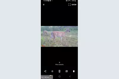 1396 Grant Rowe Road B, Dublin, GA 31021 - Photo 12