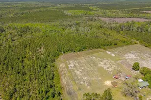 88 Minnesota Rd, Screven, GA 31560 - Photo 44