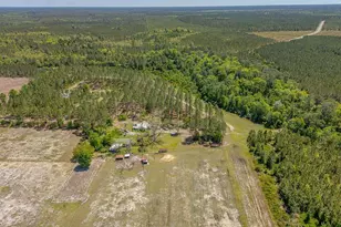 88 Minnesota Rd, Screven, GA 31560 - Photo 36