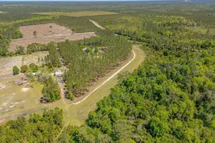 88 Minnesota Rd, Screven, GA 31560 - Photo 30