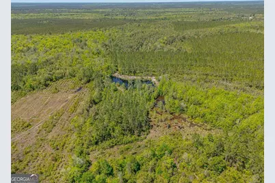 88 Minnesota Road, Screven, GA 31560 - Photo 32