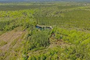 88 Minnesota Rd, Screven, GA 31560 - Photo 32