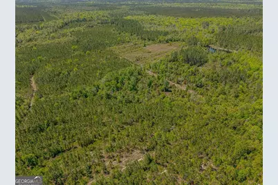 88 Minnesota Road, Screven, GA 31560 - Photo 38