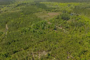 88 Minnesota Rd, Screven, GA 31560 - Photo 38