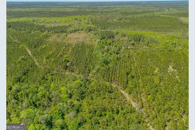 88 Minnesota Road, Screven, GA 31560 - Photo 28