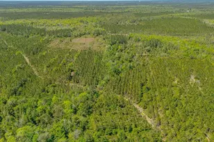 88 Minnesota Rd, Screven, GA 31560 - Photo 28