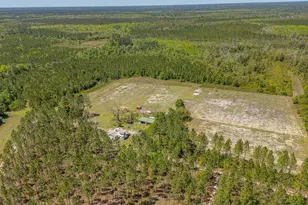 88 Minnesota Rd, Screven, GA 31560 - Photo 40