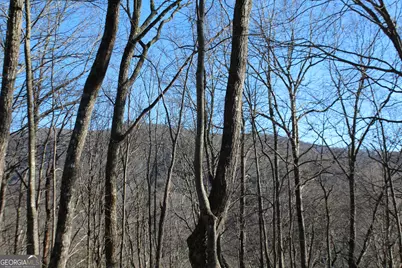 Tract B Highland Cove, Hayesville, NC 28904 - Photo 4