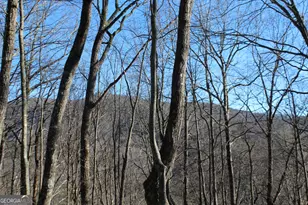 Tract B Highland Cove, Hayesville, NC 28904 - Photo 4