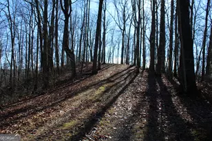 Tract B Highland Cove, Hayesville, NC 28904 - Photo 8