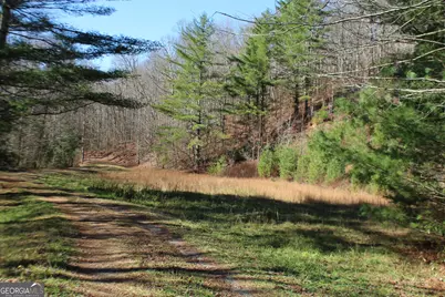Tract B Highland Cove, Hayesville, NC 28904 - Photo 18