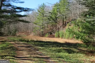 Tract B Highland Cove, Hayesville, NC 28904 - Photo 18