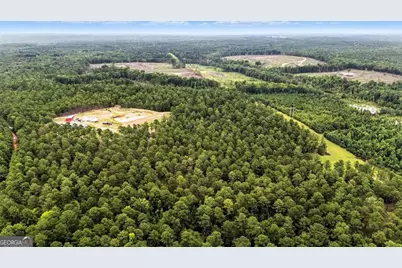 955 Anna Poole Road, Sparta, GA 31087 - Photo 74