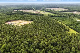 955 Anna Poole Rd, Sparta, GA 31087 - Photo 74