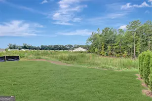 390 Redhaven Dr, Senoia, GA 30276 - Photo 36