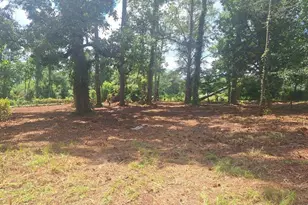 880 Sellers Rd, Baxley, GA 31513 - Photo 4