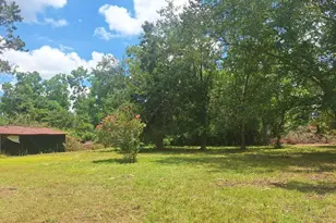 880 Sellers Rd, Baxley, GA 31513 - Photo 6