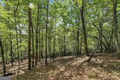 0 Laceola South Road #LOT 120, Cleveland, GA 30528 - Photo 4