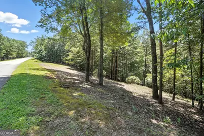 0 Laceola South Road #LOT 120, Cleveland, GA 30528 - Photo 8